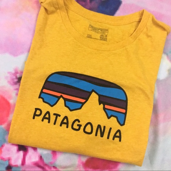 Patagonia Tops - Patagonia / Slim Fit T-shirt
